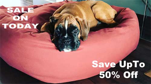 Mammoth Dog Beds
